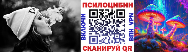 mega рабочий сайт  это как зайти  Галлюциногенные грибы мухоморы  Чулым 
